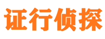 元江市侦探公司